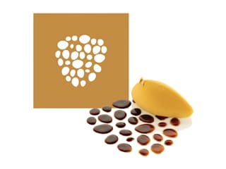 Silicone Chablon Stencil Mat Naturae (x 2)