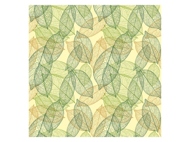 Chocolate Transfer Sheet - Green leaves - Pack of 5 sheets - Valrhona