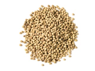 Poivre blanc de Penja IGP