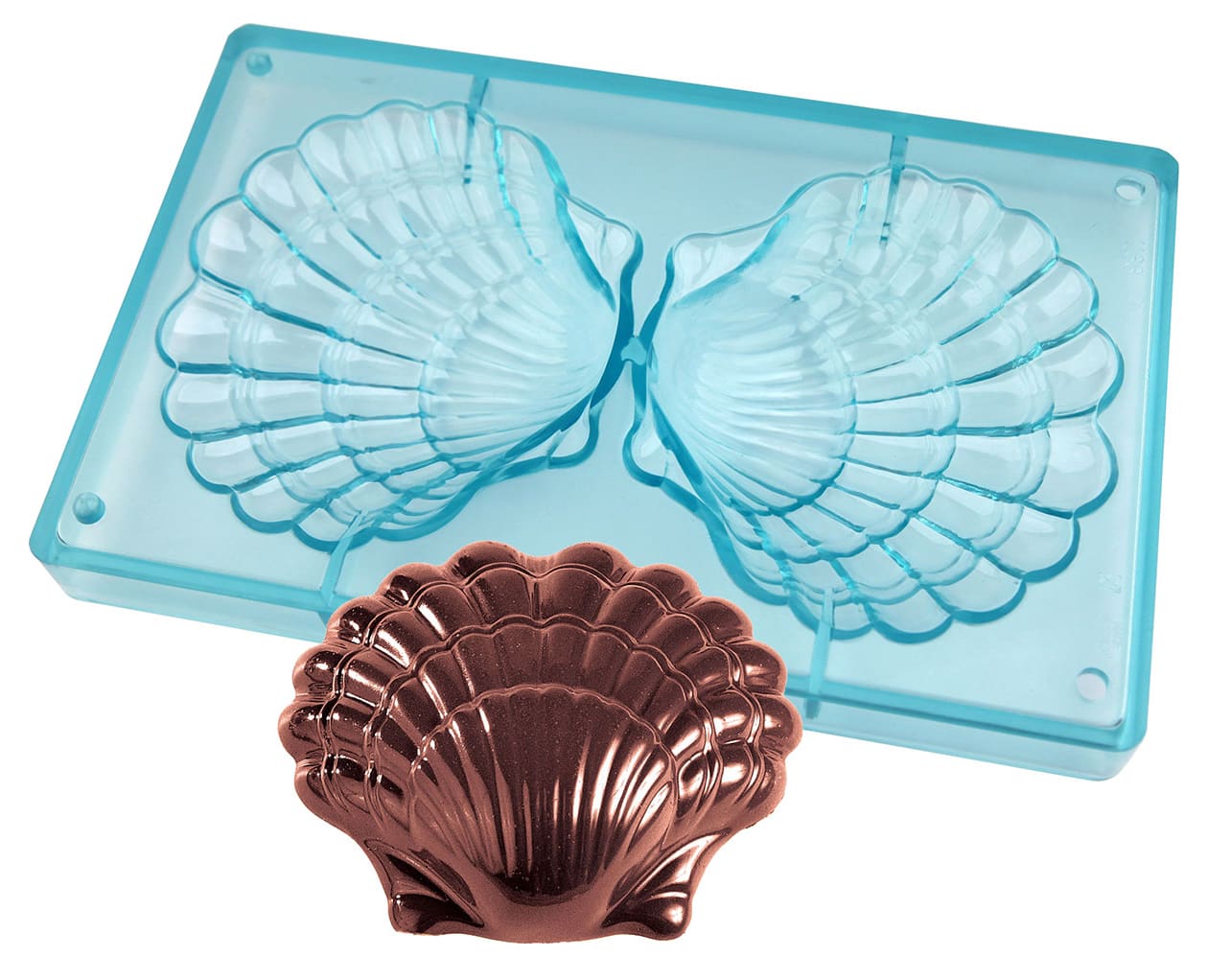 Moule chocolat - coquille saint-jacques - Meilleur du Chef