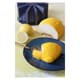 Moule silicone Citron XL - 16 x 11,5 cm - Déco Relief