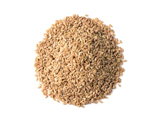 Graines de lin doré