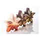 Moule chocolat étoile - Polaris - Occasion - Pavoni