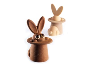 Moules thermoformés Magic Bunny 3D