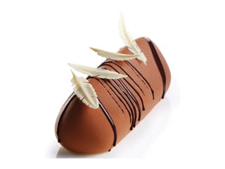 Moule à bûche silicone