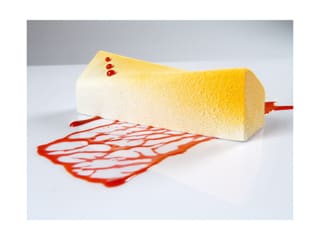 Moule silicone Pavoflex