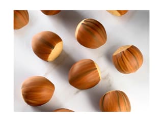 Moule silicone Pavoflex