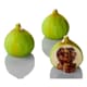 Moule silicone Pavoflex - 15 figues - 40 x 30 cm - Pavoni