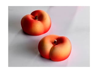 Moule silicone Pavoflex