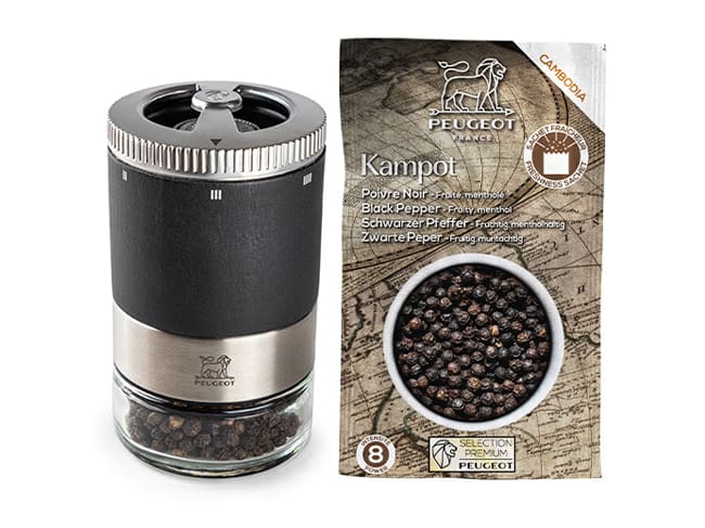 Moulin à poivre Maestro - réservoirs interchangeables - 11 cm - Peugeot