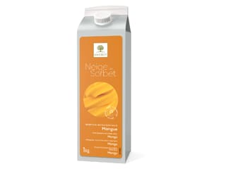 Neige de sorbet mangue - 1 kg - Ravifruit