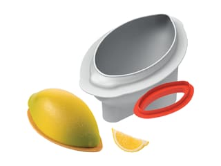 Moule silicone Citron XL