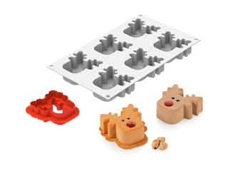 Moule silicone 6 rennes Rudolph