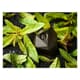 Tadoka Verveine - Sachet de 62 cubes - Norohy
