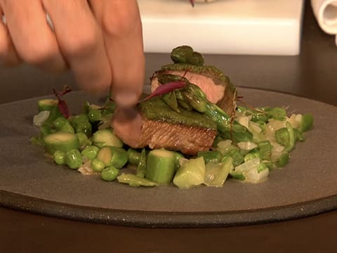 L'agneau de lait des Pyrénées au Vadoovan, légumes verts de printemps - 88