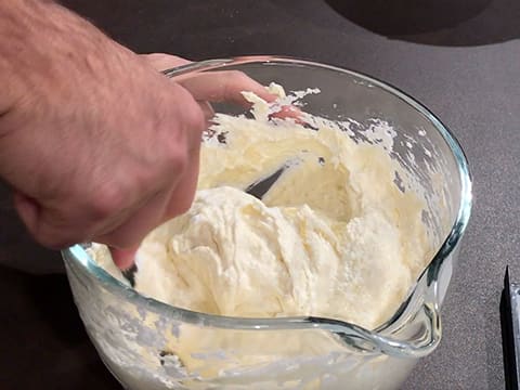 Biscuit à la cuillère (en bande) - 19