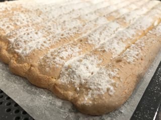 Biscuit à la cuillère (en plaque)