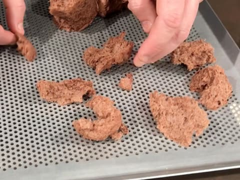 Obtention de morceaux de biscuit éponge cacao, placés sur une plaque à pâtisserie