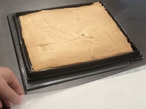 Biscuit Suisse (extra-mœlleux) - Recette de cuisine illustrée - Meilleur du  Chef