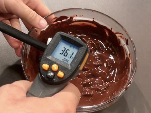 Prise de la température du chocolat noir fondu dans le saladier, celui-ci titre 36,1°C