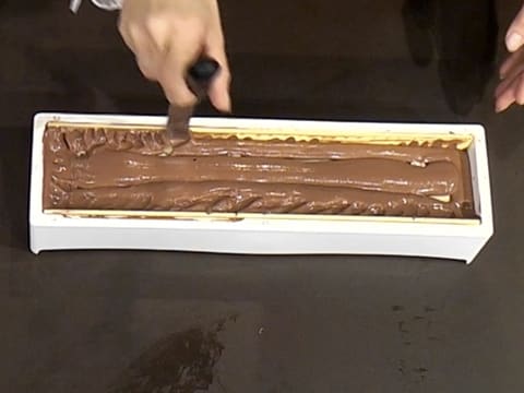 Bûche de Noël chocolat Mexique praliné tonka - 67