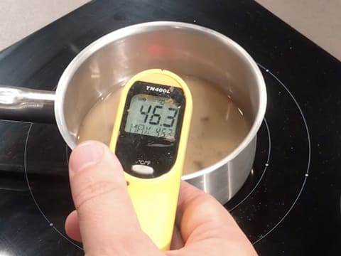 À l'aide d'un thermomètre à visée laser, prise de la température du jus de pamplemousse vanillé dans la casserole, qui titre 46,3°C