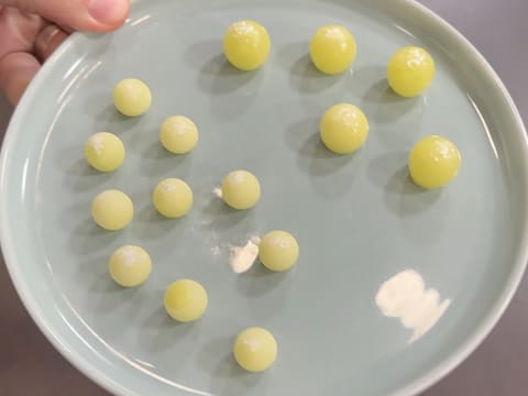 Bûche kombucha, pomme verte & vanille fumée - 144