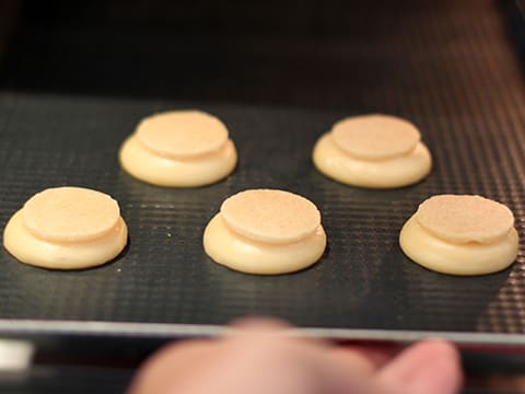 Praliné pistache lisse 70% - 250 g - Comptoir du Praliné - Meilleur du Chef