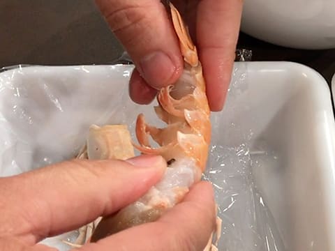 Décortiquer à cru des langoustines - 22