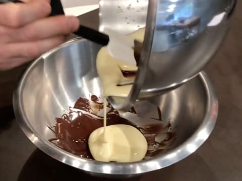 Entremets chocolat praliné agrumes - 48