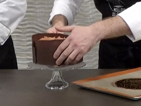 Entremets chocolat praliné agrumes - 98