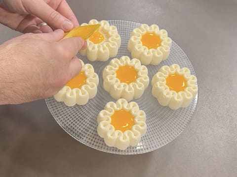 Entremets citron et mandarine "Bonne fête maman" - 98