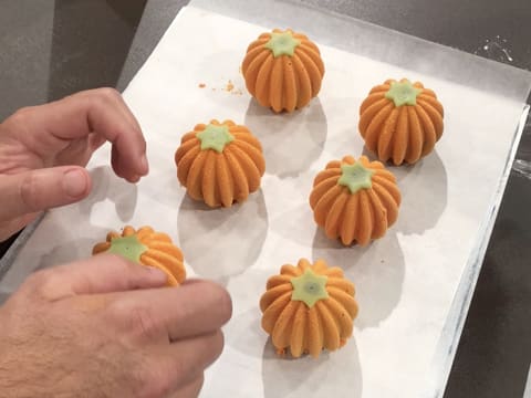 Entremets d'Halloween butternut/mandarine - 81