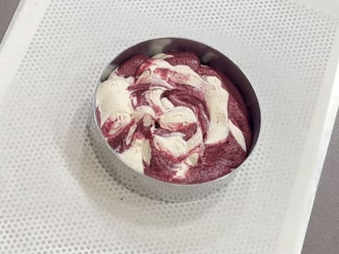 Entremets myrtilles, chocolat & vanille - 102