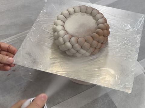 Entremets myrtilles, chocolat & vanille - 163