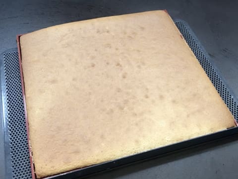 Entremets tablette au praliné, noisette et caramel - 26