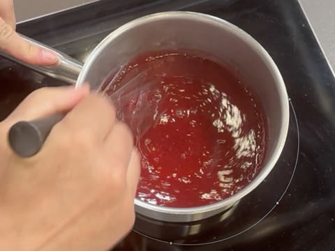 Esquimaux framboises - 22