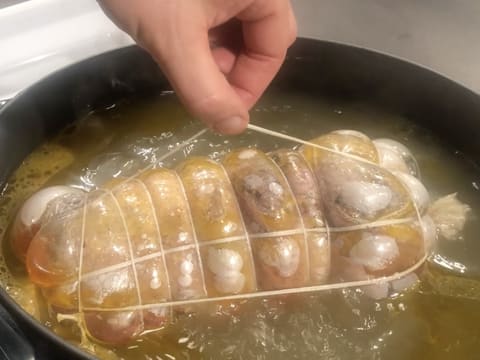 Galantine de canette au foie gras et champignons - 113