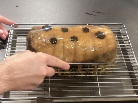 Galantine de canette au foie gras et champignons - 141