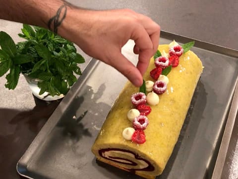 Gâteau roulé aux framboises - 106