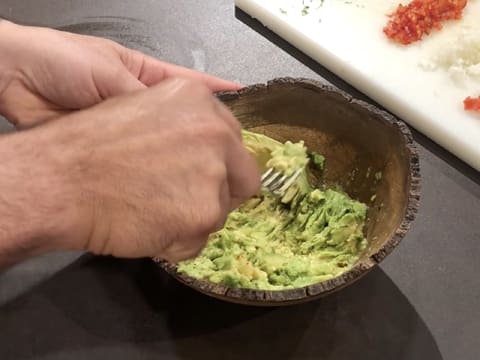 Guacamole Mexicain - 17