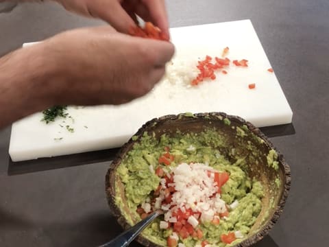 Guacamole Mexicain - 19