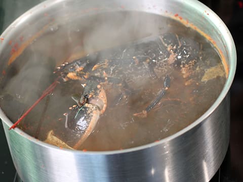 Homard de nos côtes, vin chaud aux fleurs d'hibiscus et choux d'hiver - 37