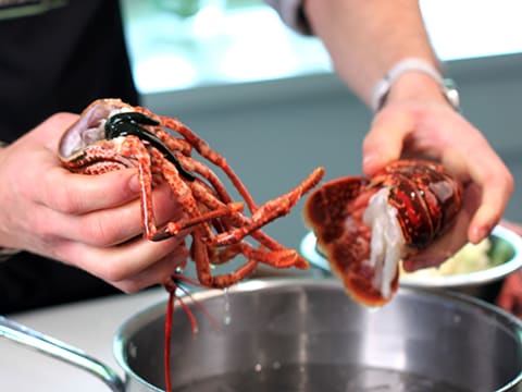 Homard de nos côtes, vin chaud aux fleurs d'hibiscus et choux d'hiver - 42