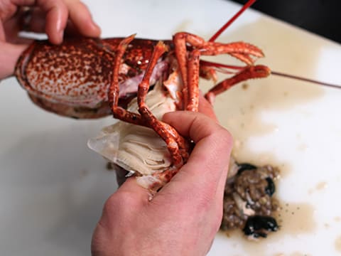 Homard de nos côtes, vin chaud aux fleurs d'hibiscus et choux d'hiver - 44