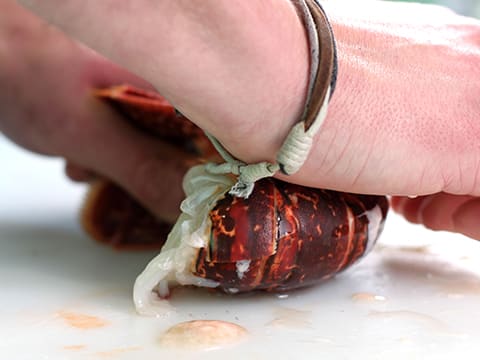 Homard de nos côtes, vin chaud aux fleurs d'hibiscus et choux d'hiver - 54