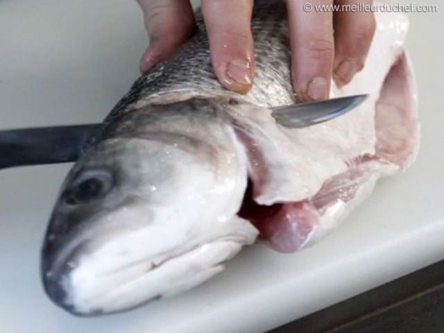 Ustensiles à poisson et crustacés - Ustensiles poisson, écailleur, pince à  désarêter, pince à crustacés - Meilleur du Chef