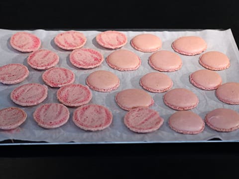 Macarons au pamplemousse et chocolat blanc - 24