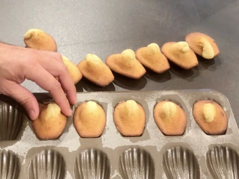 Les madeleines cuites dans la plaque à madeleines sont démoulées et posées sur le plan de travail