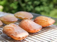 Madeleines glacées au sucre